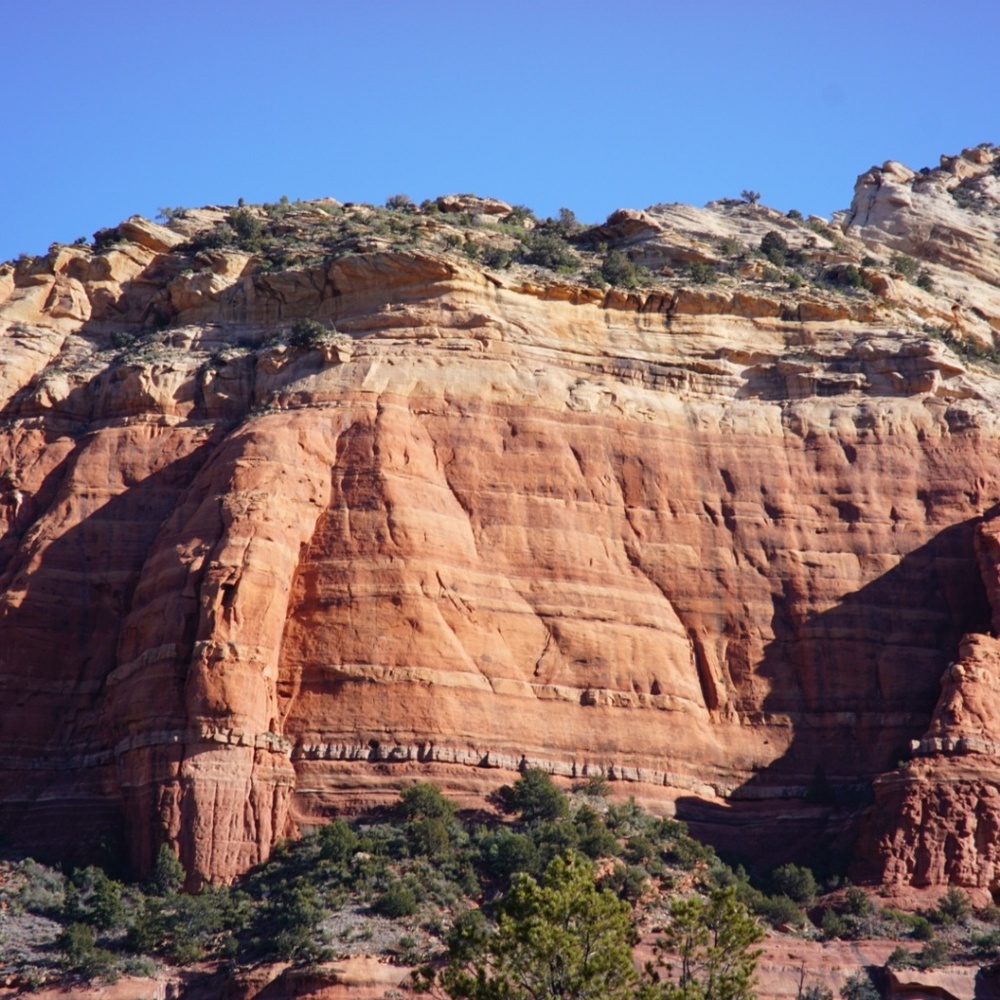 Meet your Posher, Chloe